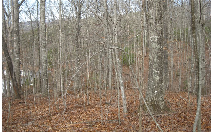 211200 Young Harris Land