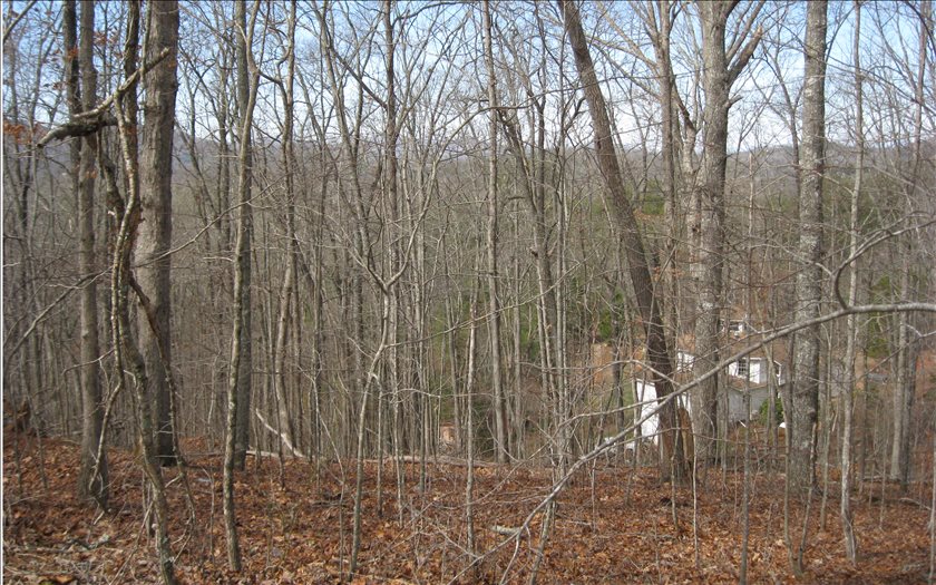 211200 Young Harris Land