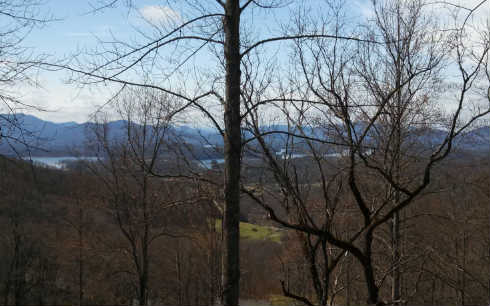 236627  Land