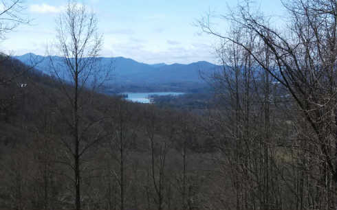 236627 Hayesville Land