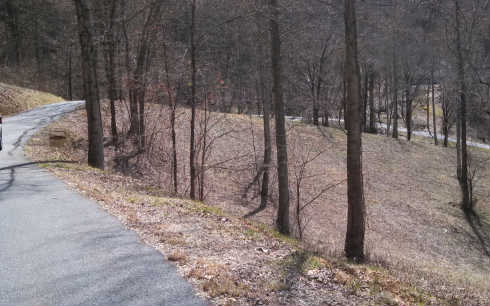 236627 Hayesville Land