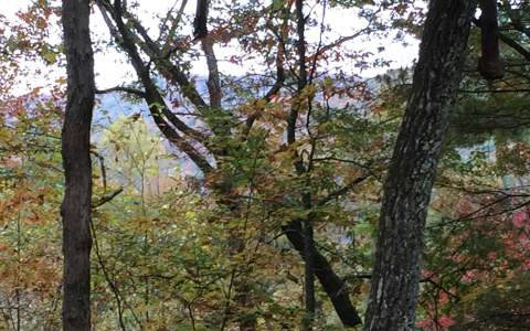 260831 Hayesville Land