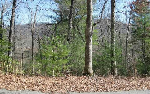 260831 Hayesville Land