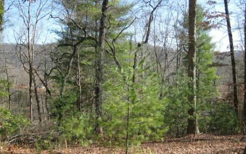 260831 Hayesville Land