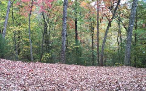 260831 Hayesville Land