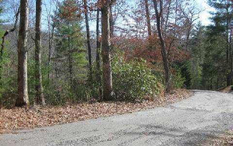 260831 Hayesville Land
