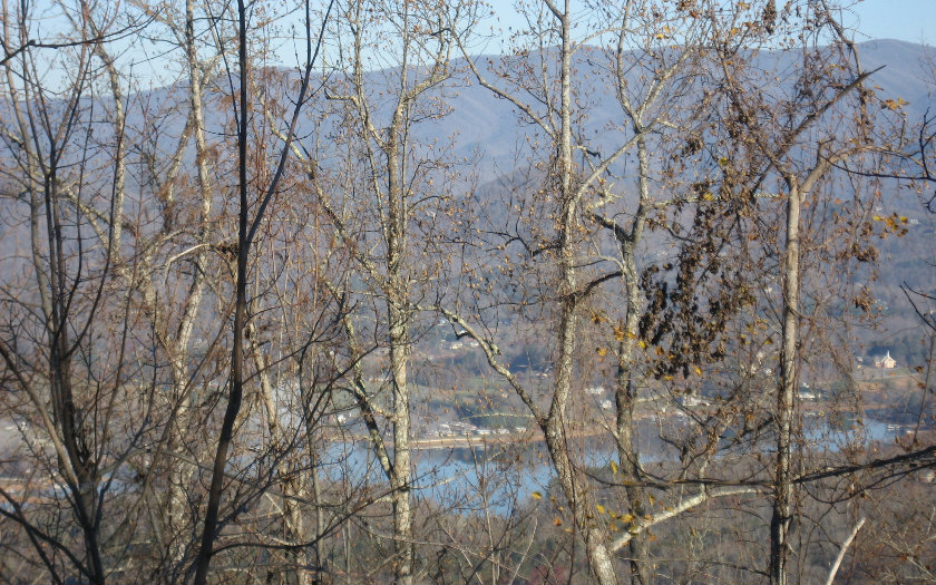273943 Hayesville Land