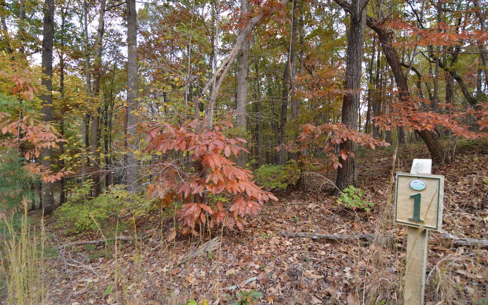 284423 Blairsville Land