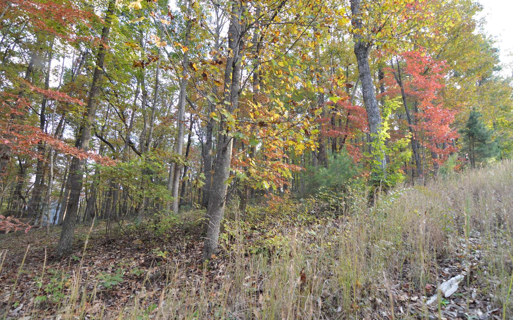 284423 Blairsville Vacant Lot