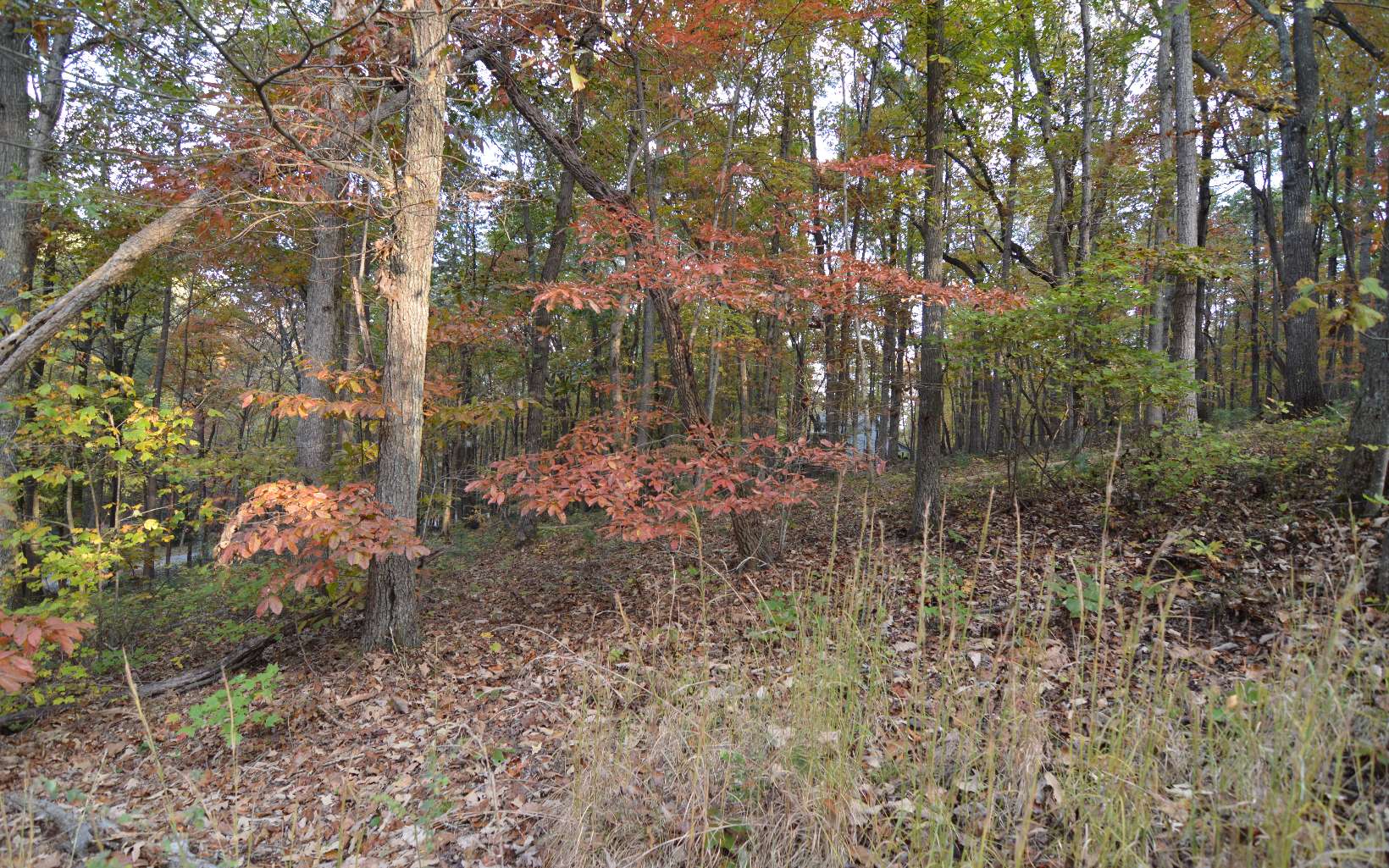 284423 Blairsville Vacant Lot