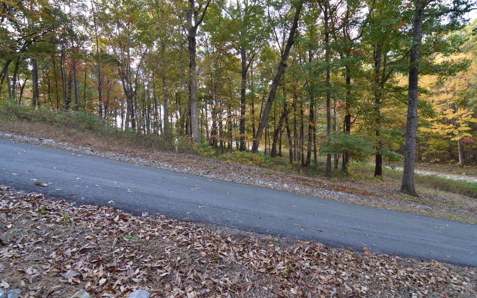 284423 Blairsville Vacant Lot