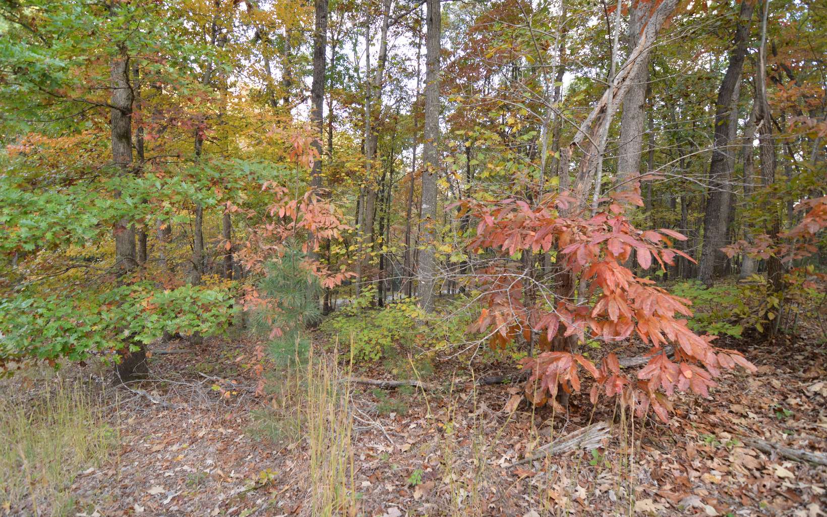 284423 Blairsville Land