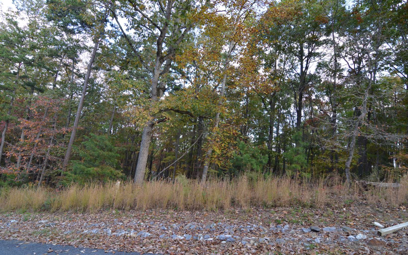 284424 Blairsville Vacant Lot