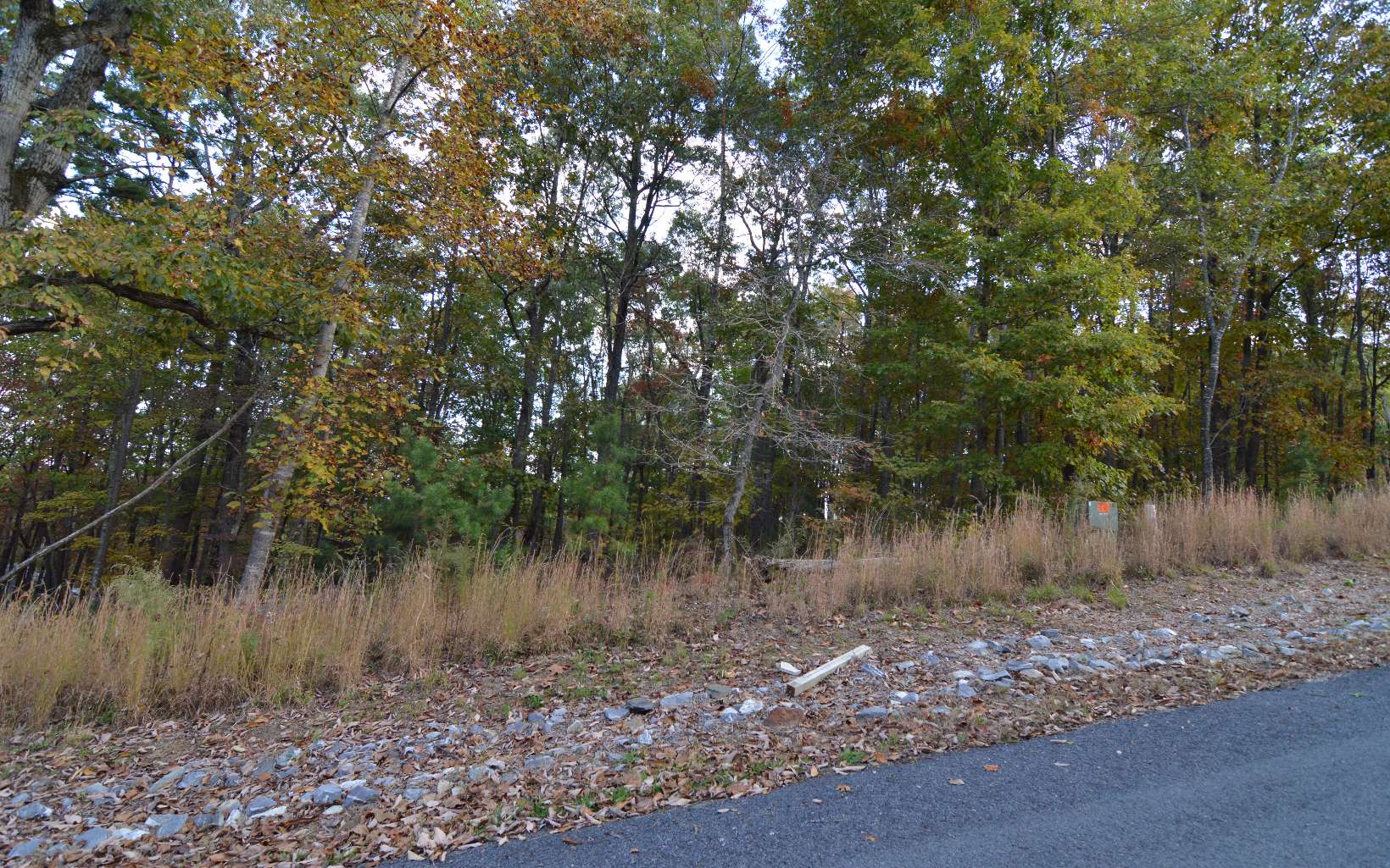 284424 Blairsville Land