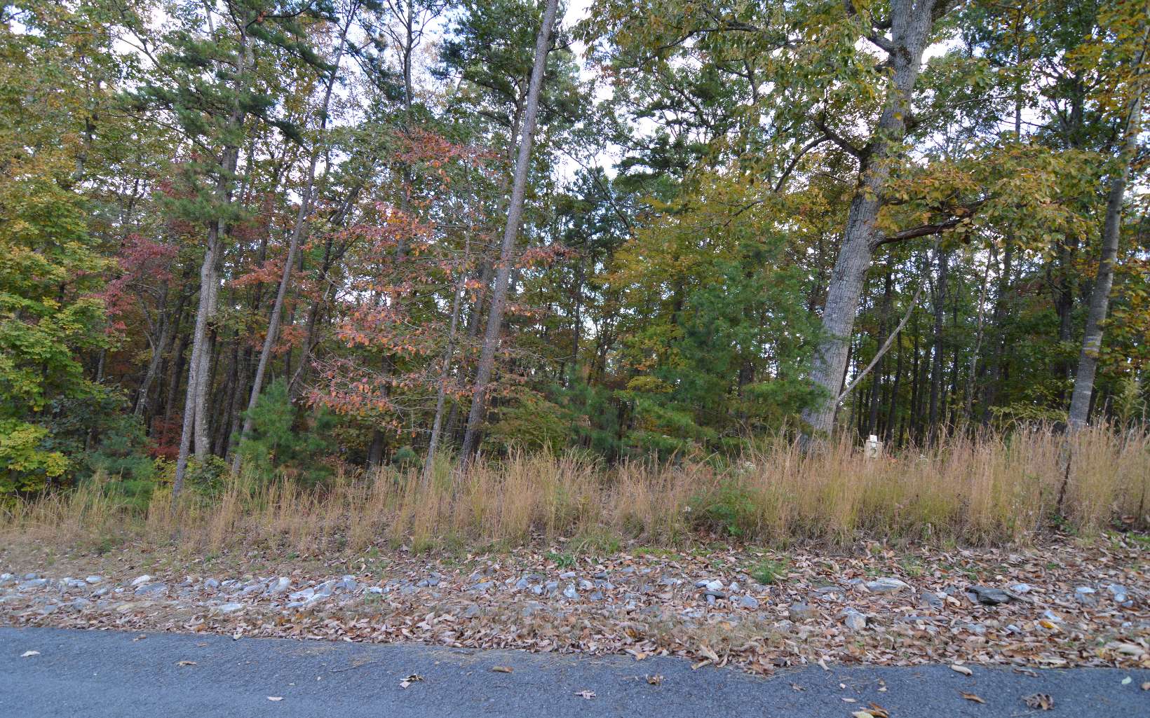 284424 Blairsville Vacant Lot