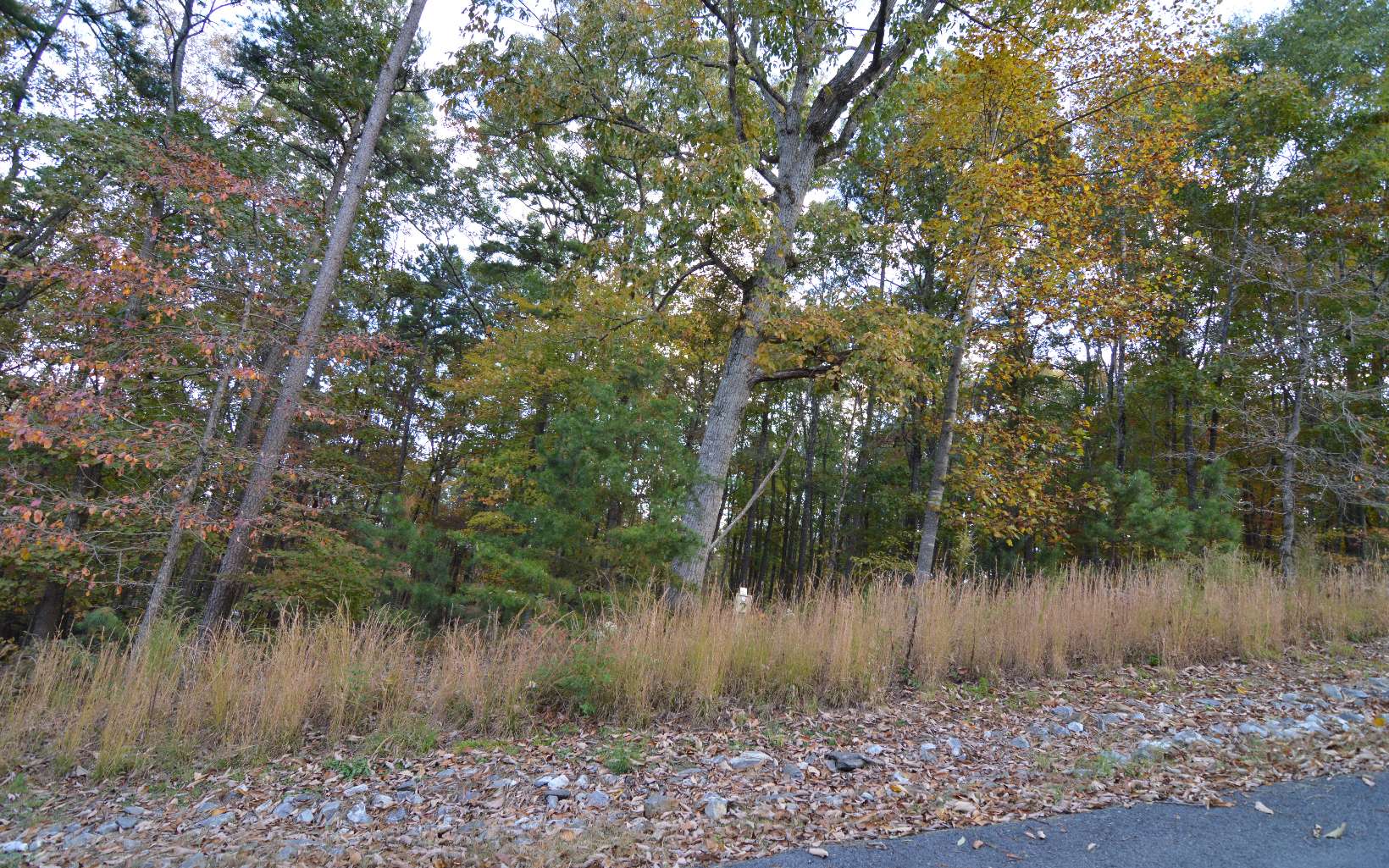 284424 Blairsville Vacant Lot