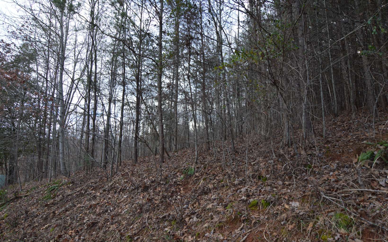 284914 Hiawassee Land
