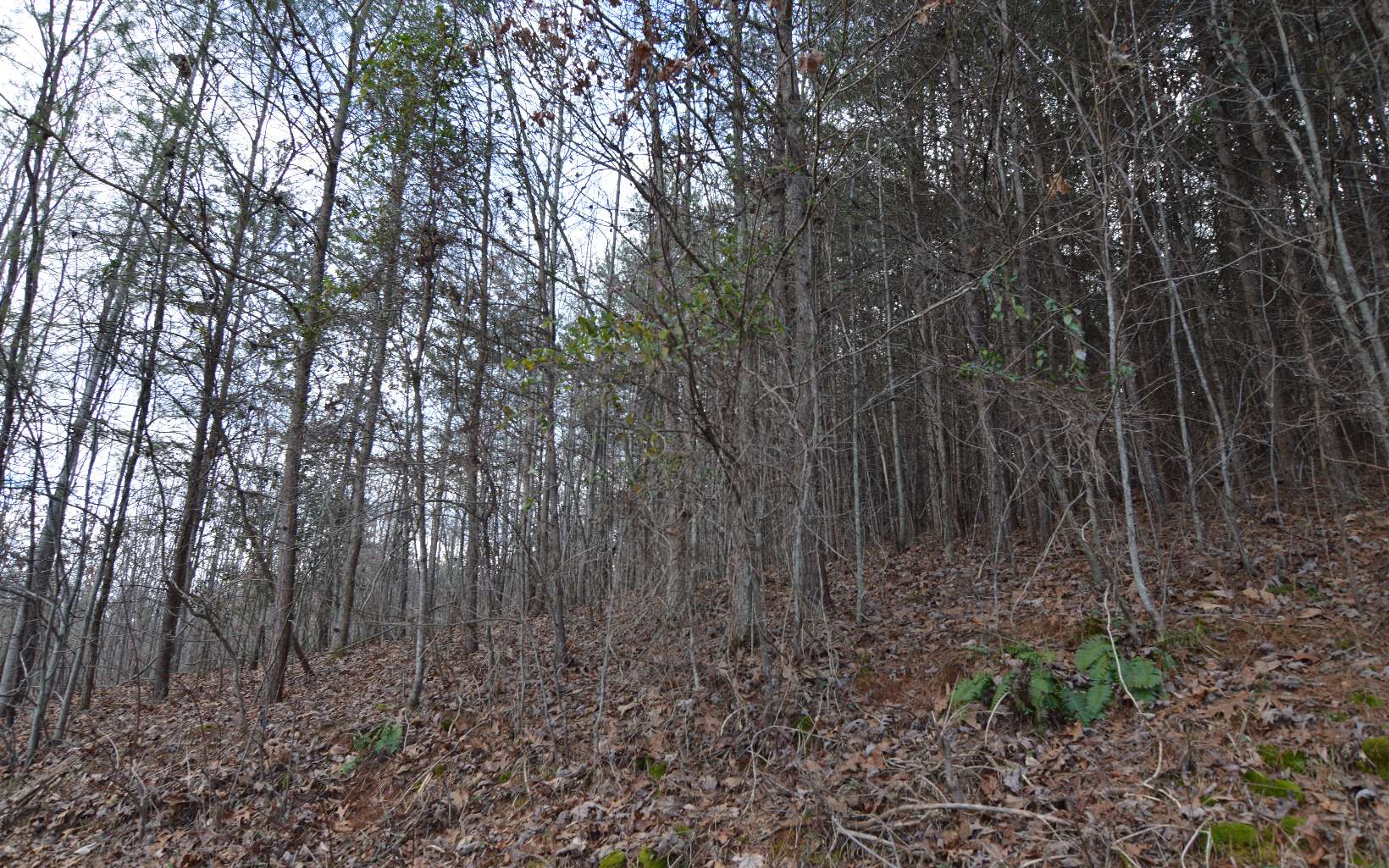 284914 Hiawassee Land