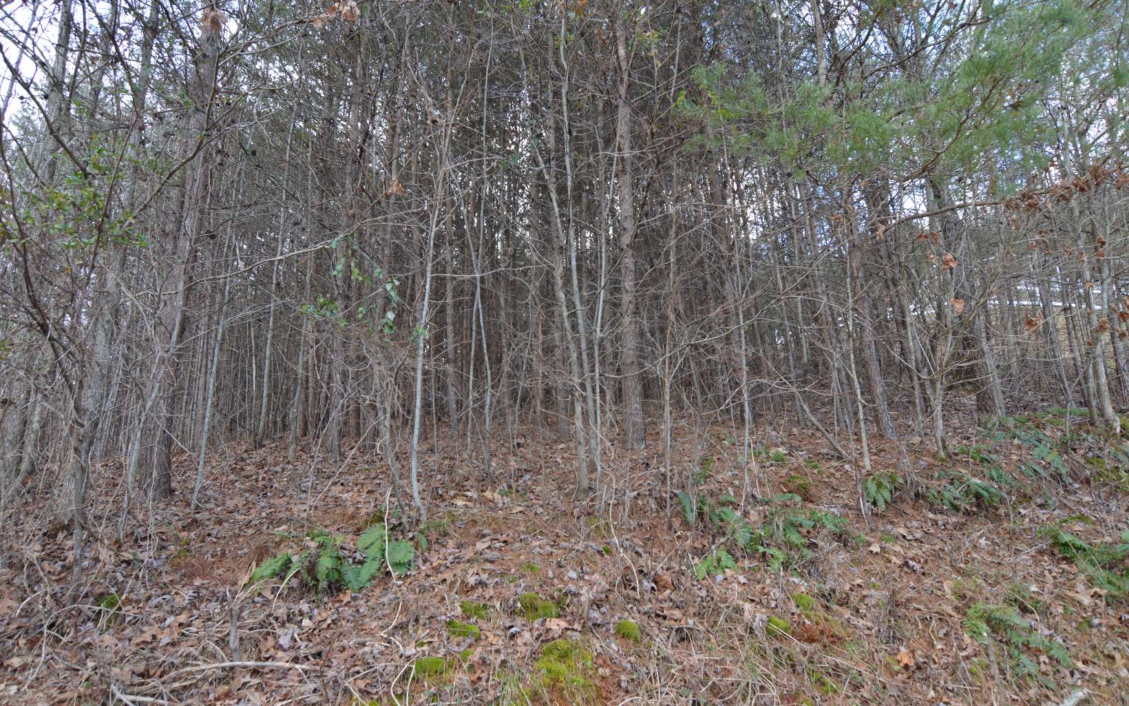 284914 Hiawassee Land