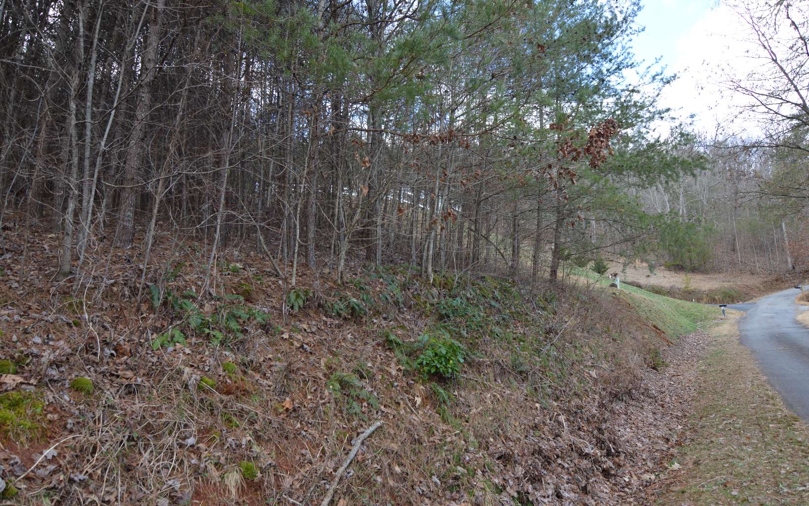 284914 Hiawassee Land
