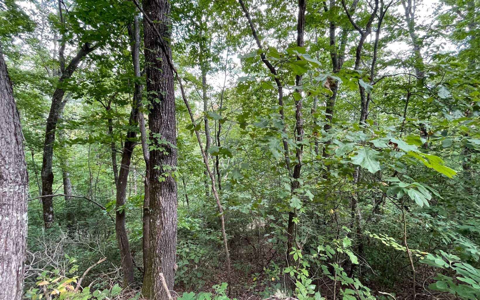 285009 Hayesville Land