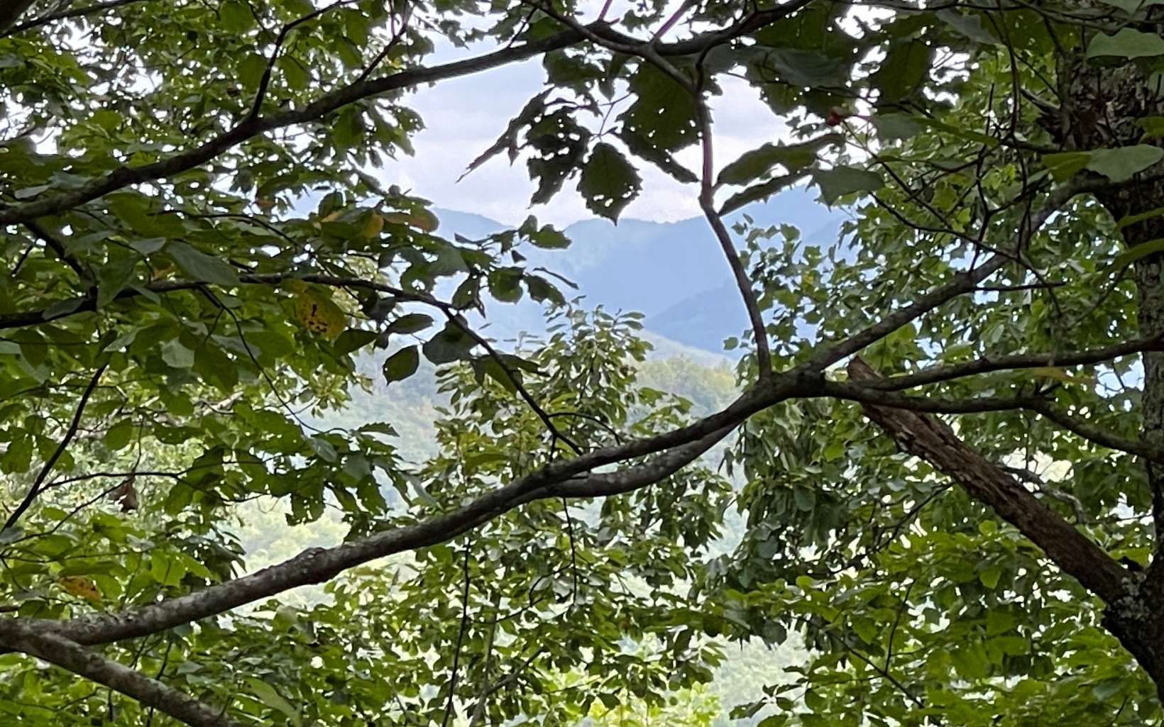 285009 Hayesville Land