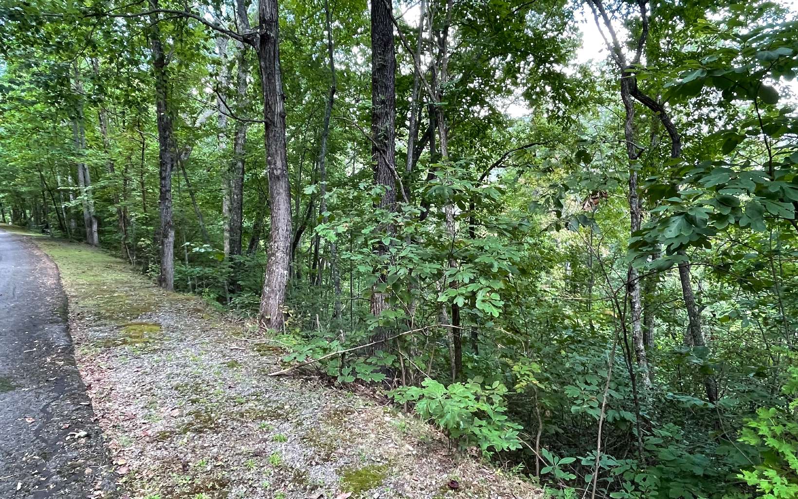 285009 Hayesville Land