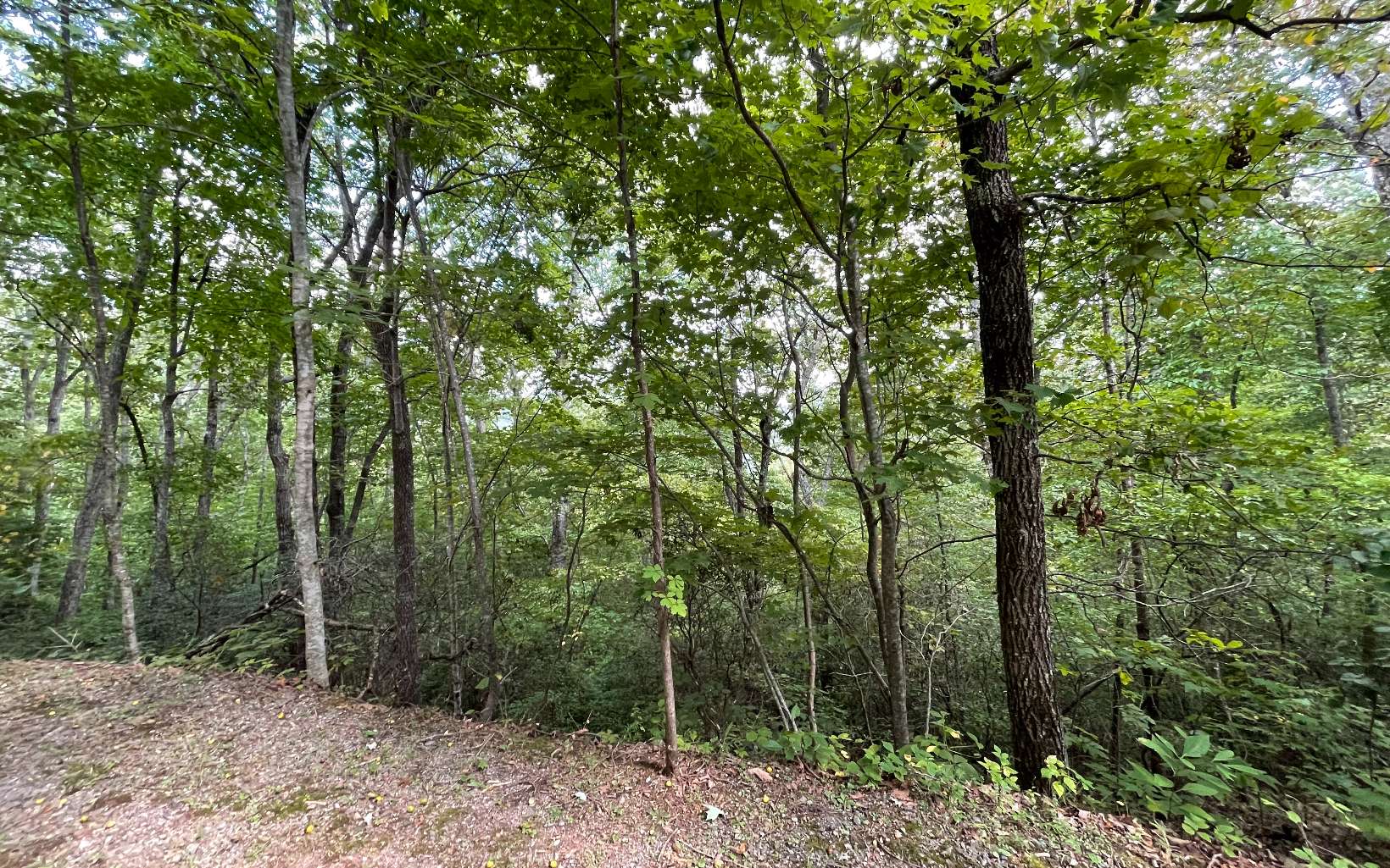 285009 Hayesville Land