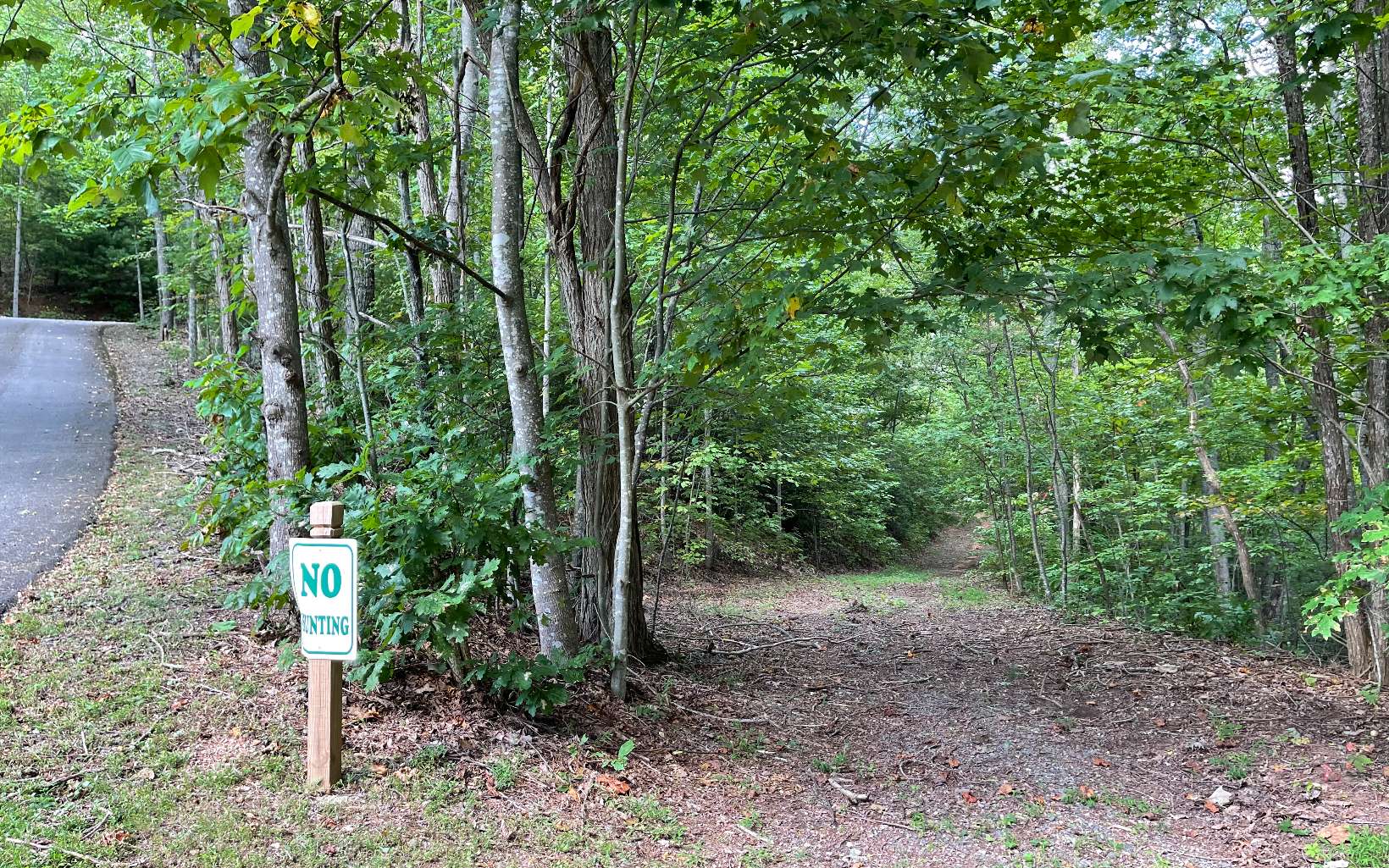 285009 Hayesville Land