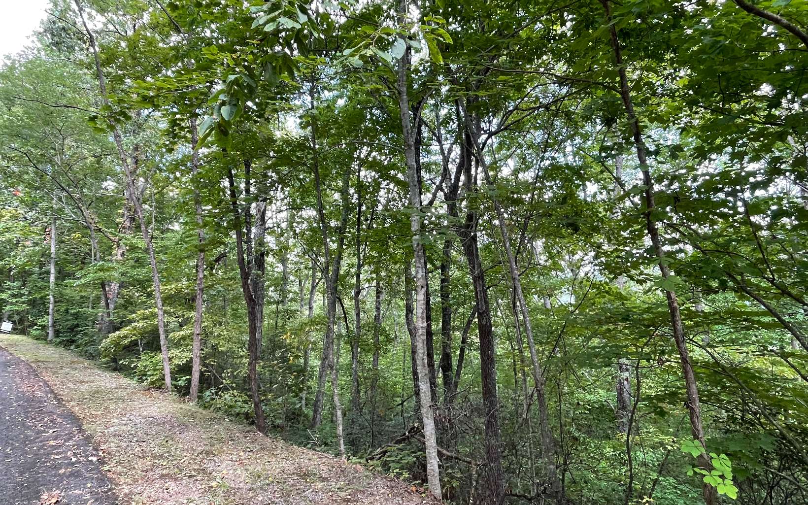 285009 Hayesville Land
