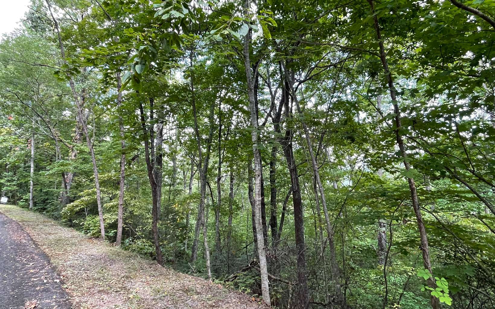 285009 Hayesville Vacant Lot