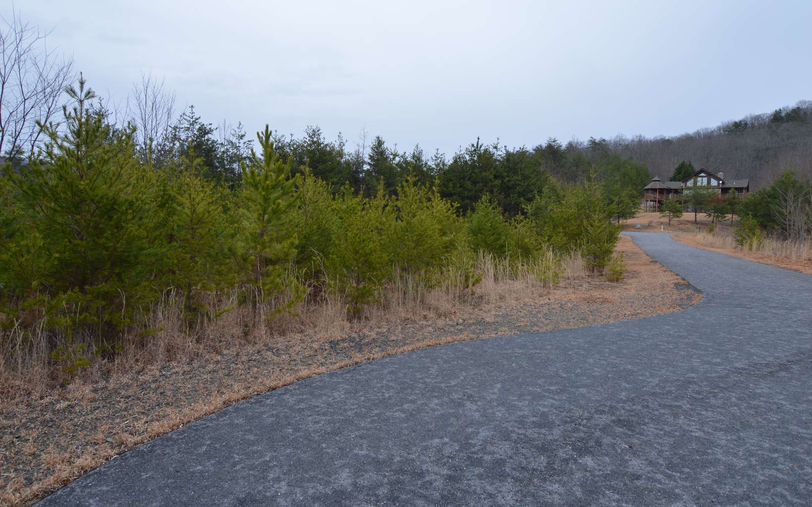 285606 Brasstown Land