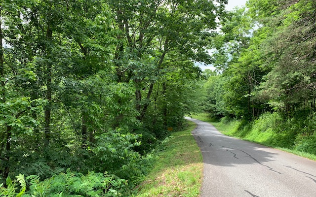 289202 Hayesville Land