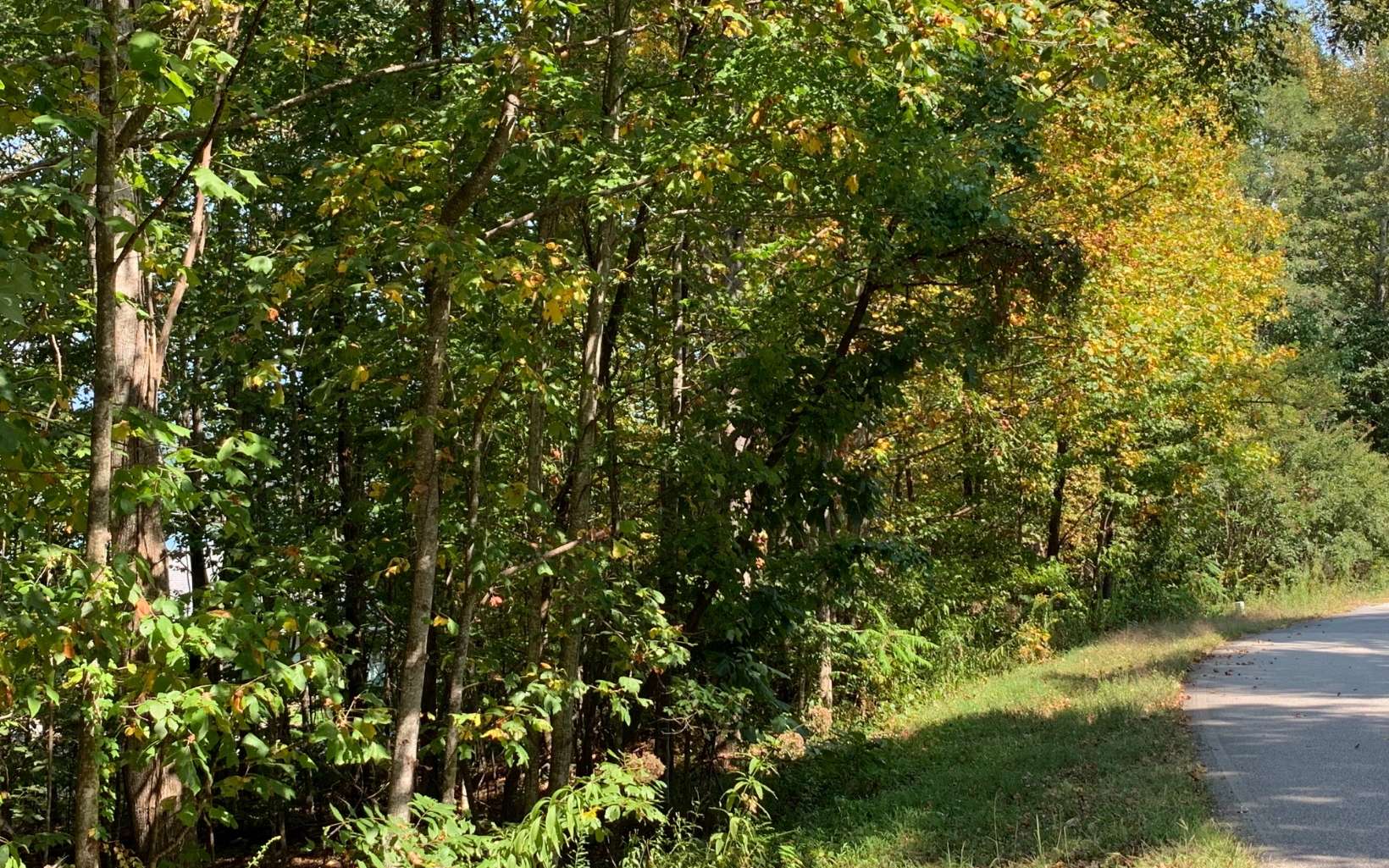 291860 Road Land