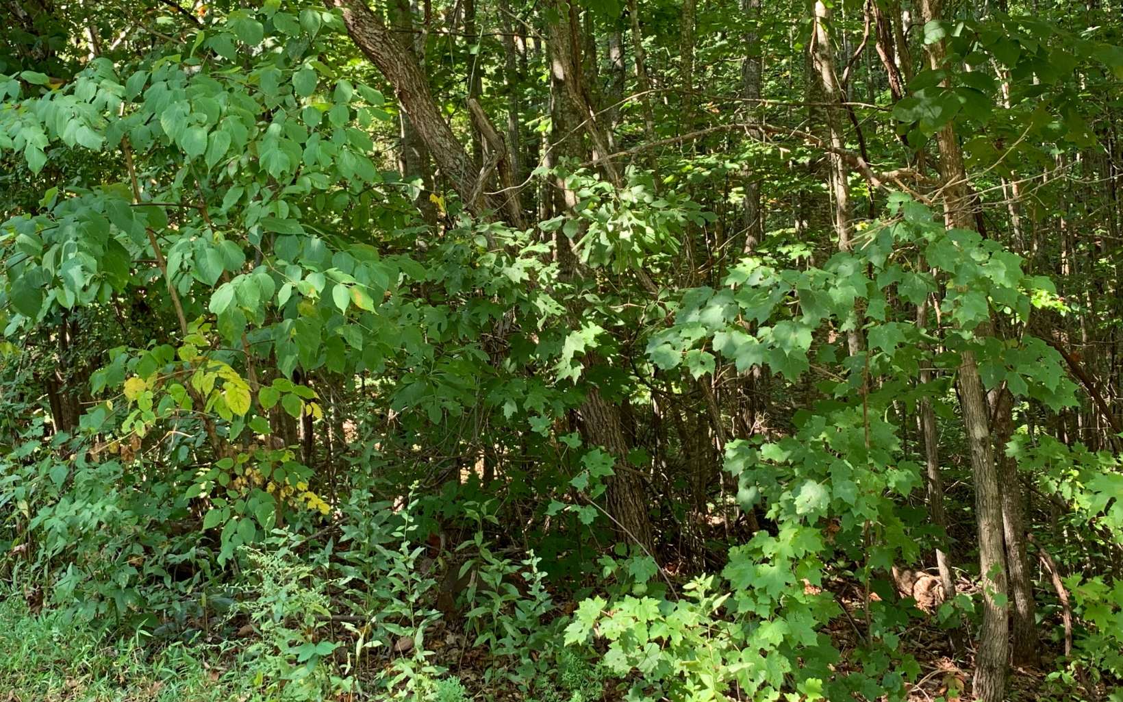 291860 Road Land