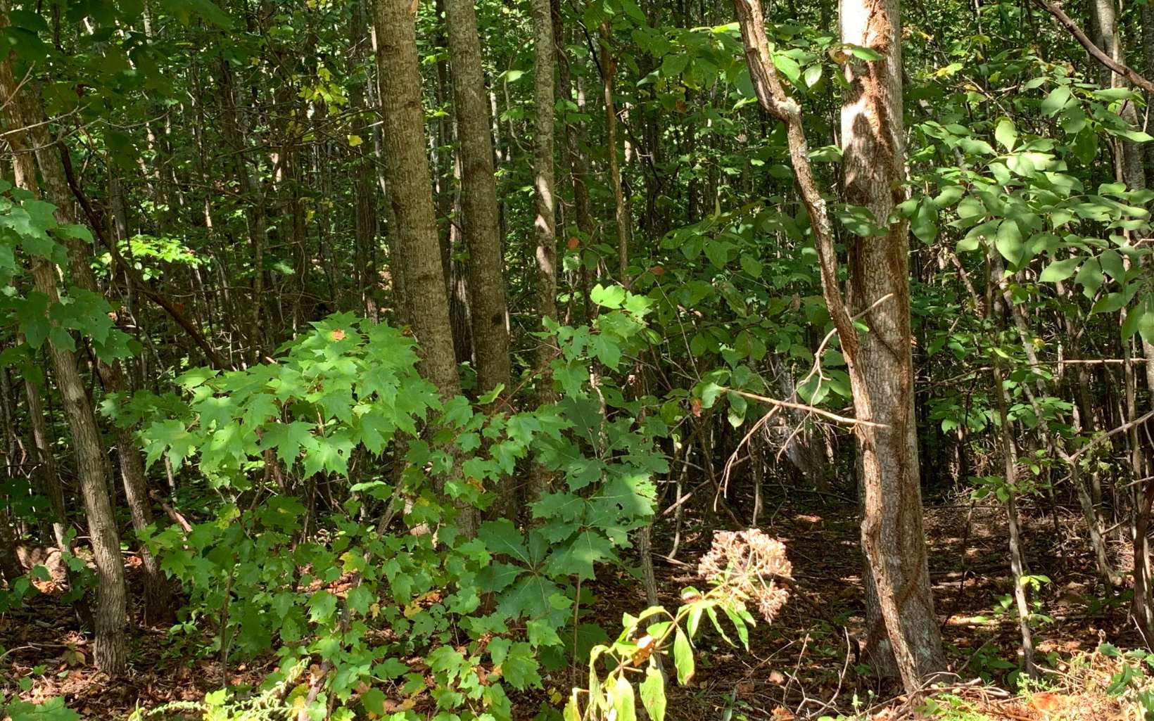 291860 Road Land