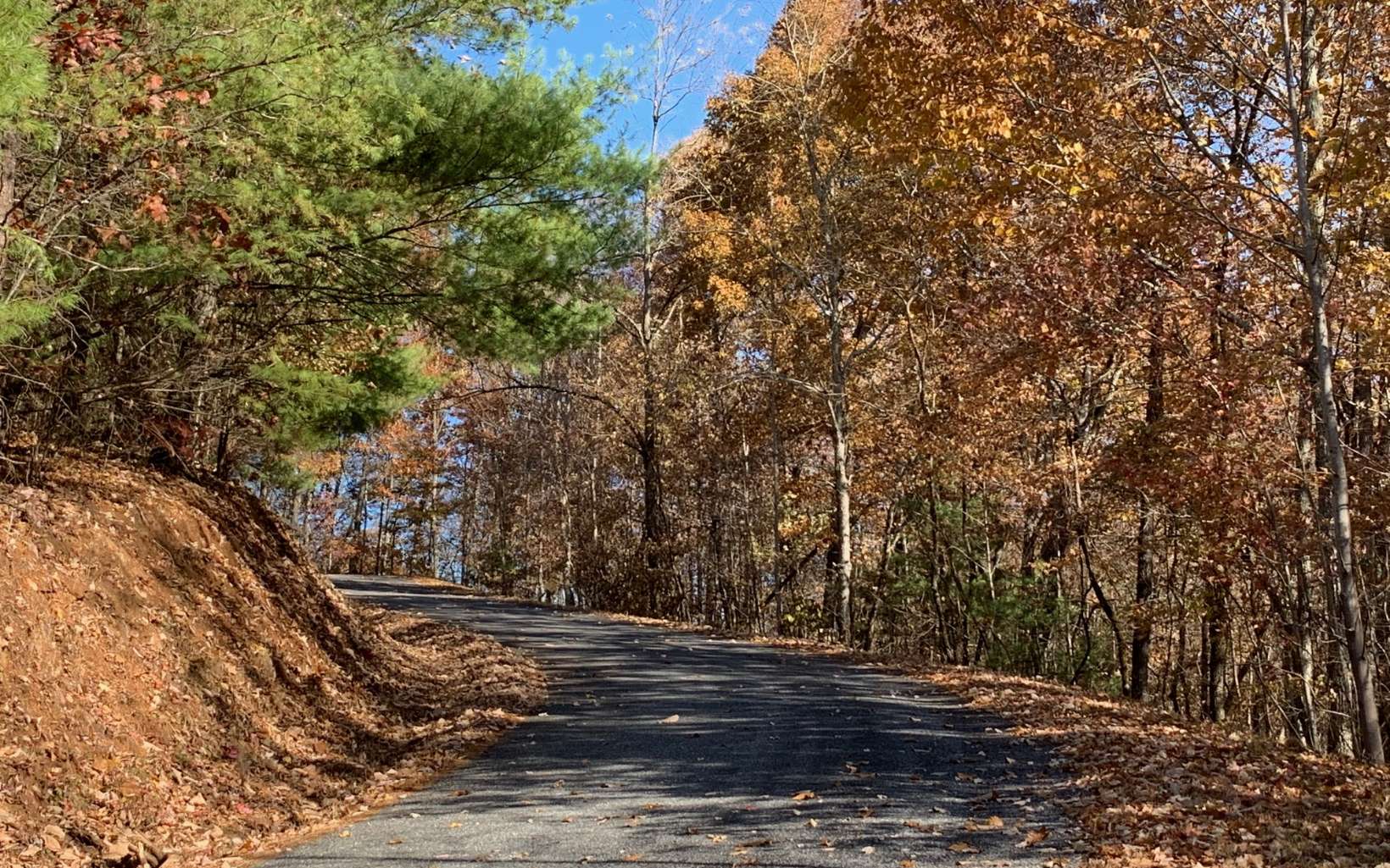 293660 Hayesville Land