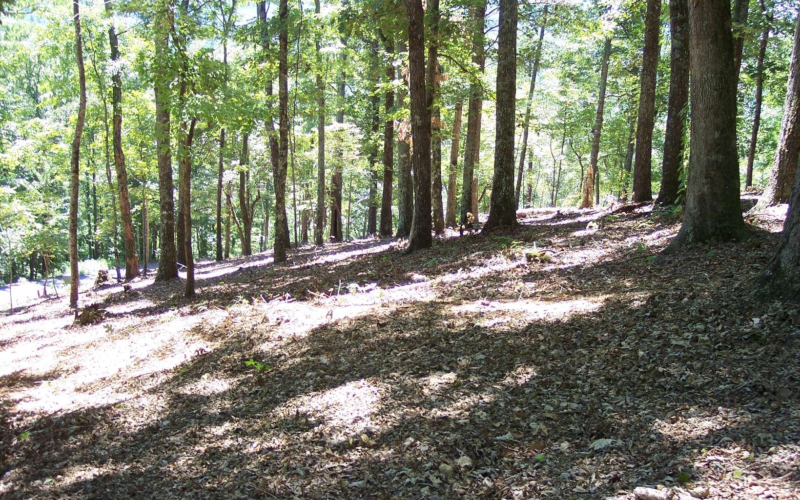 295176 Hayesville Vacant Lot