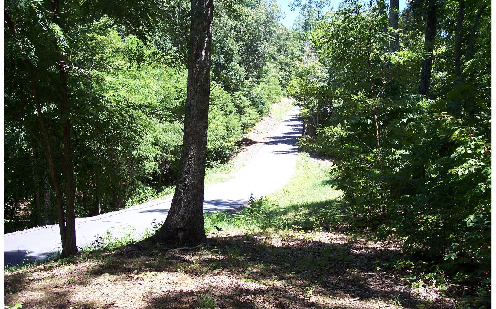 295176 Hayesville Vacant Lot