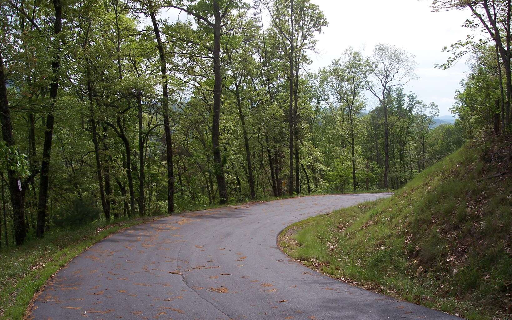 295223 Hayesville Land