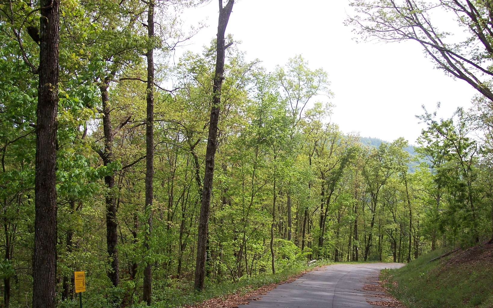 295223 Hayesville Land