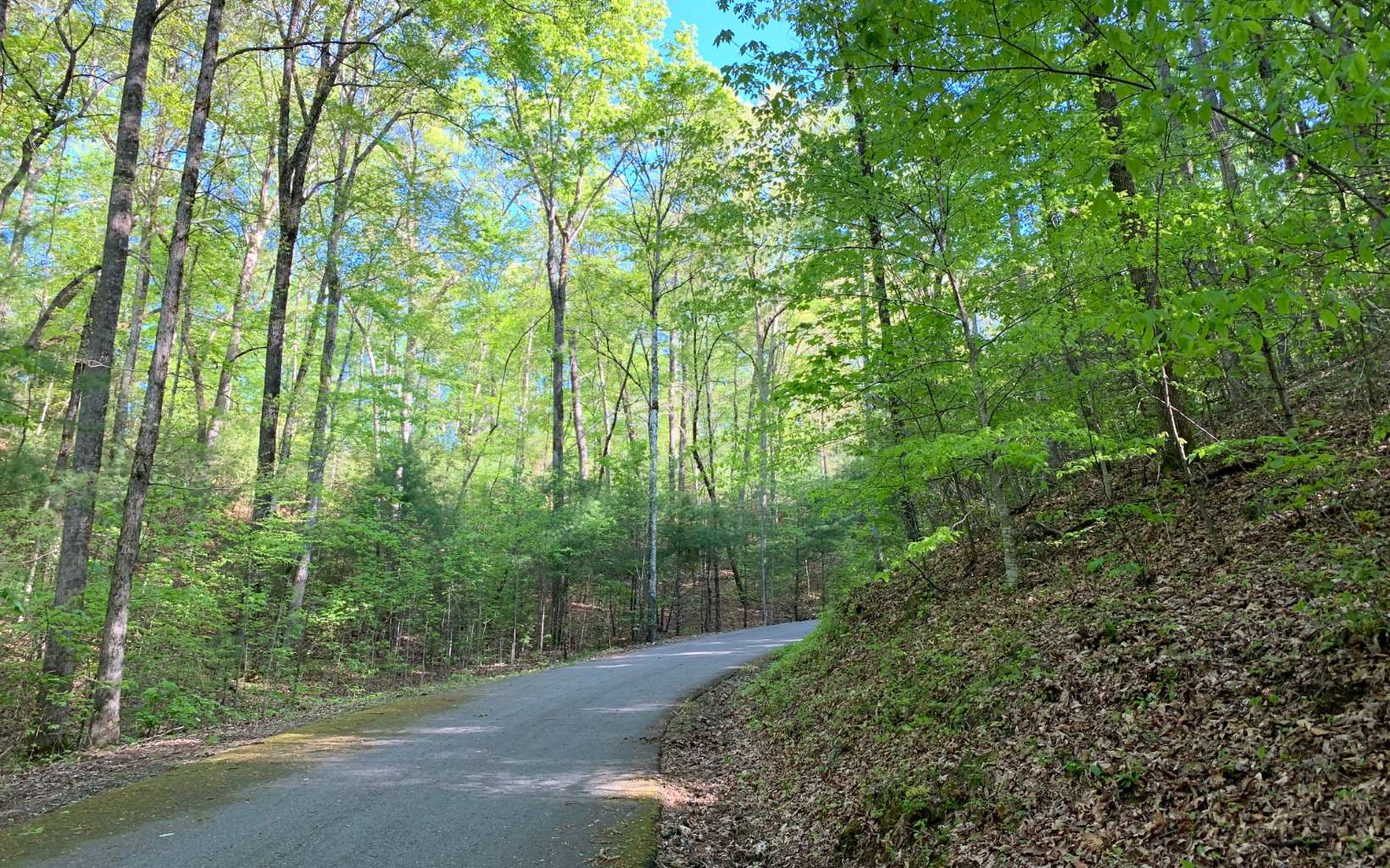 296915 Hayesville Land