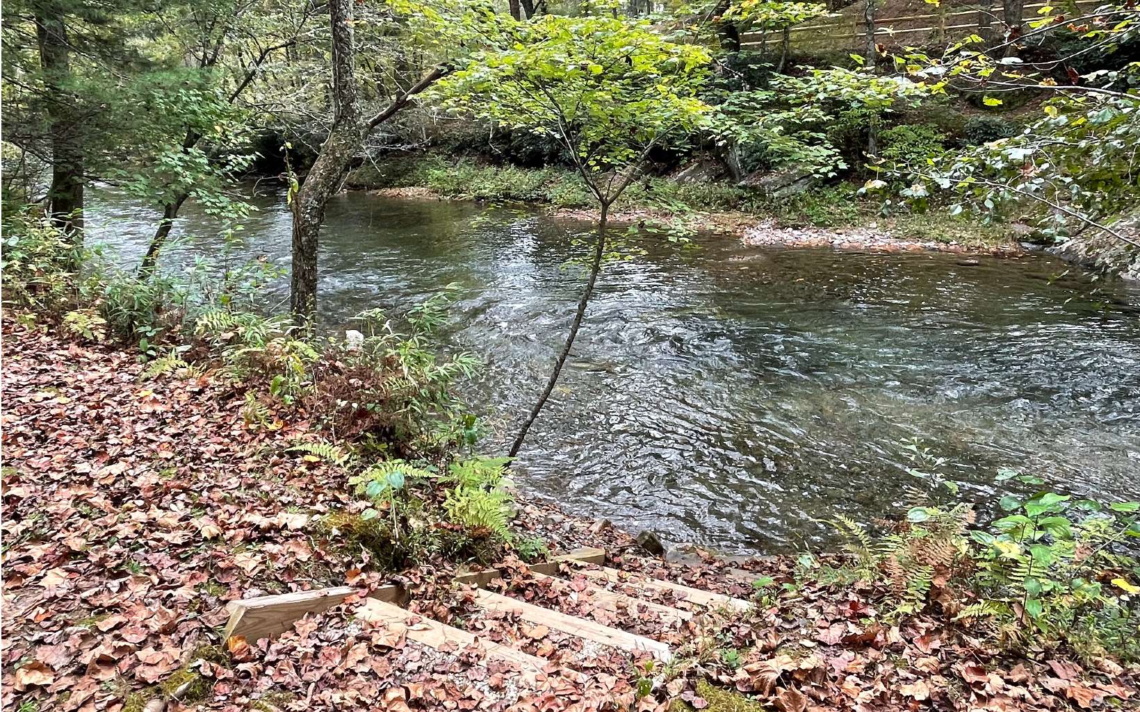 296929 Hayesville Land