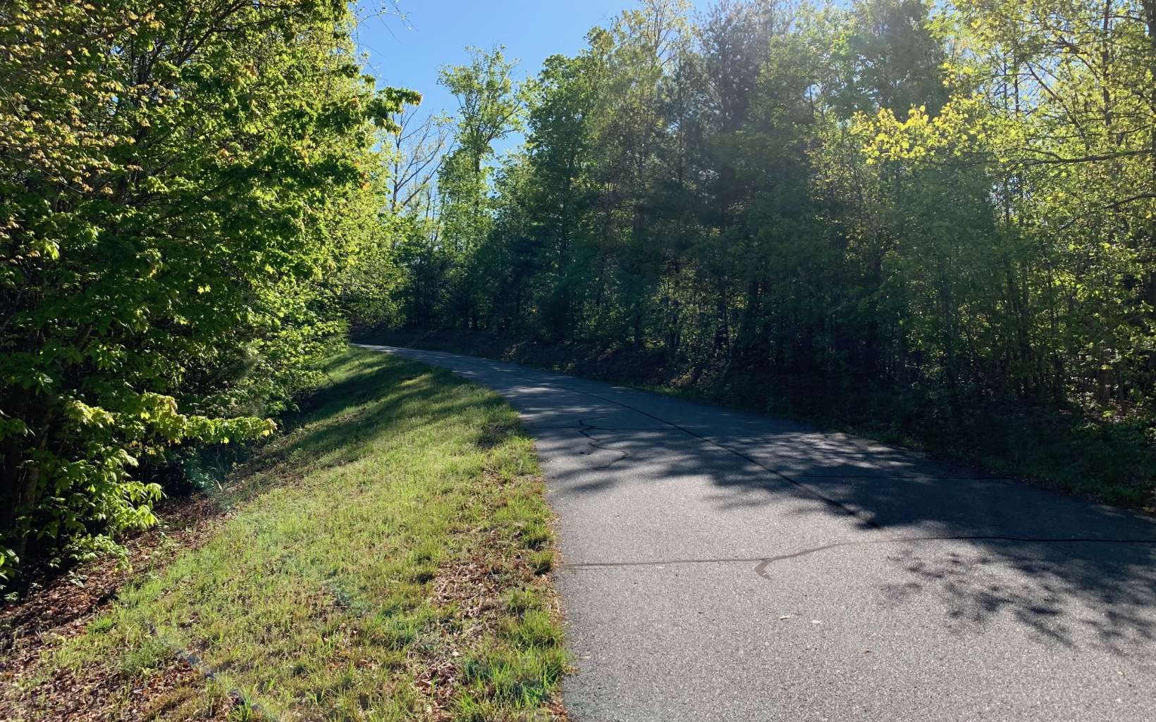 296929 Hayesville Land