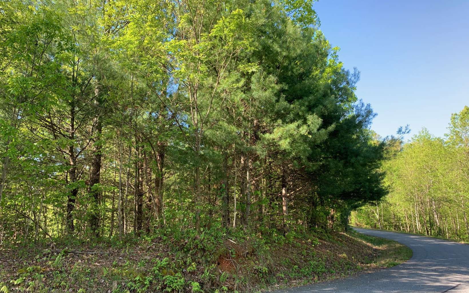 296929 Hayesville Land