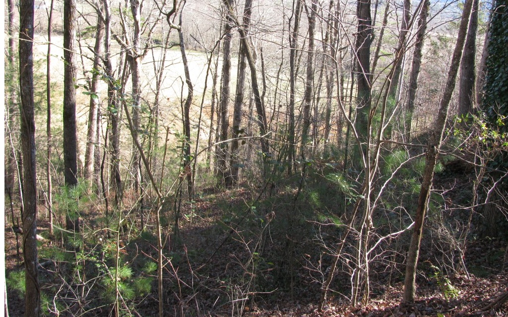 304276 Young Harris Land