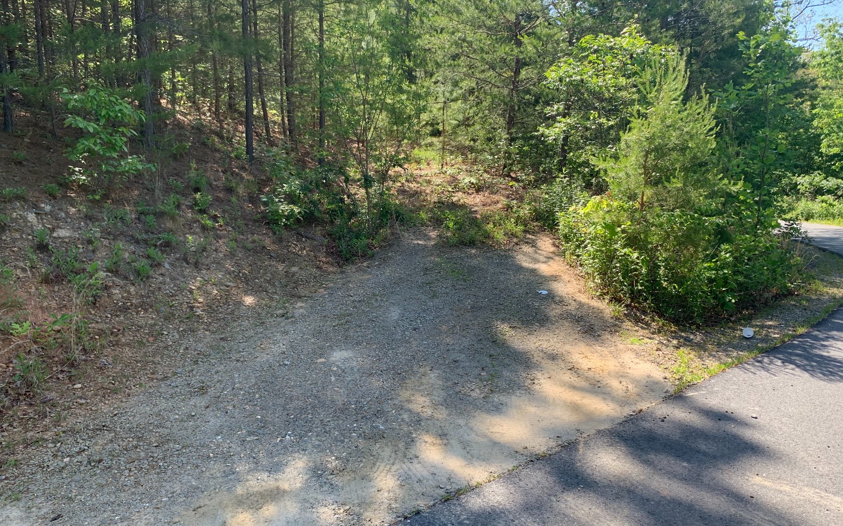 307683 Hayesville Vacant Lot