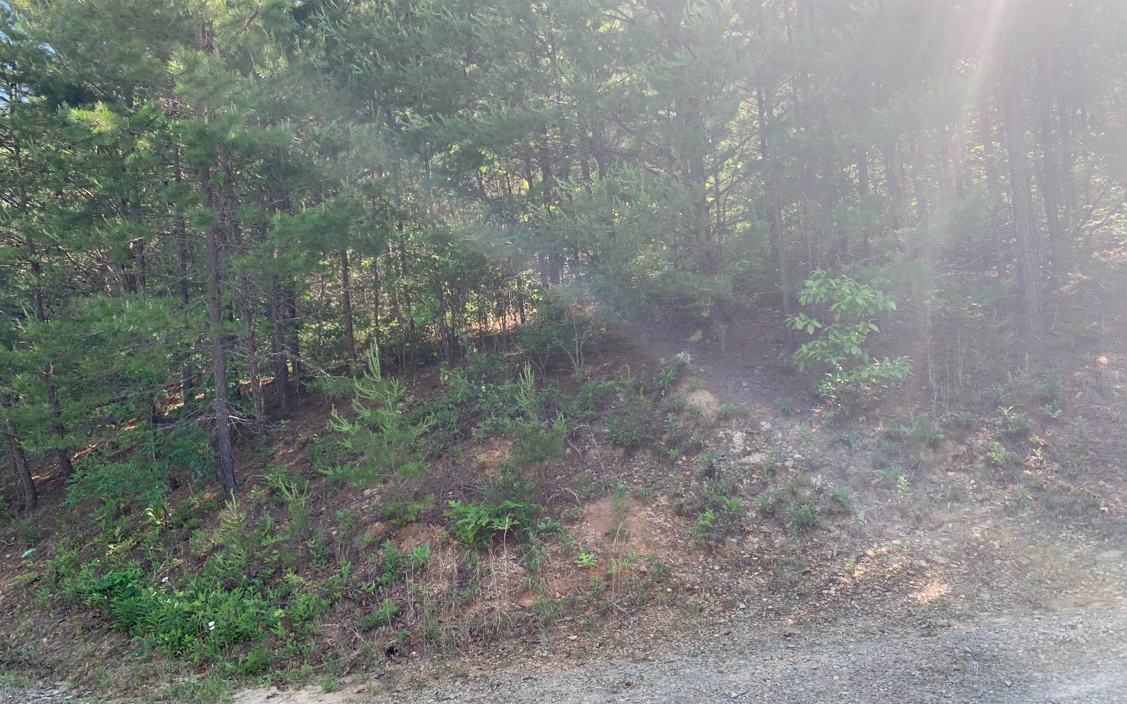 307683 Hayesville Vacant Lot