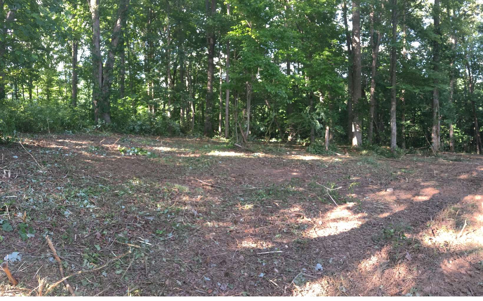 308185 Young Harris Vacant Lot