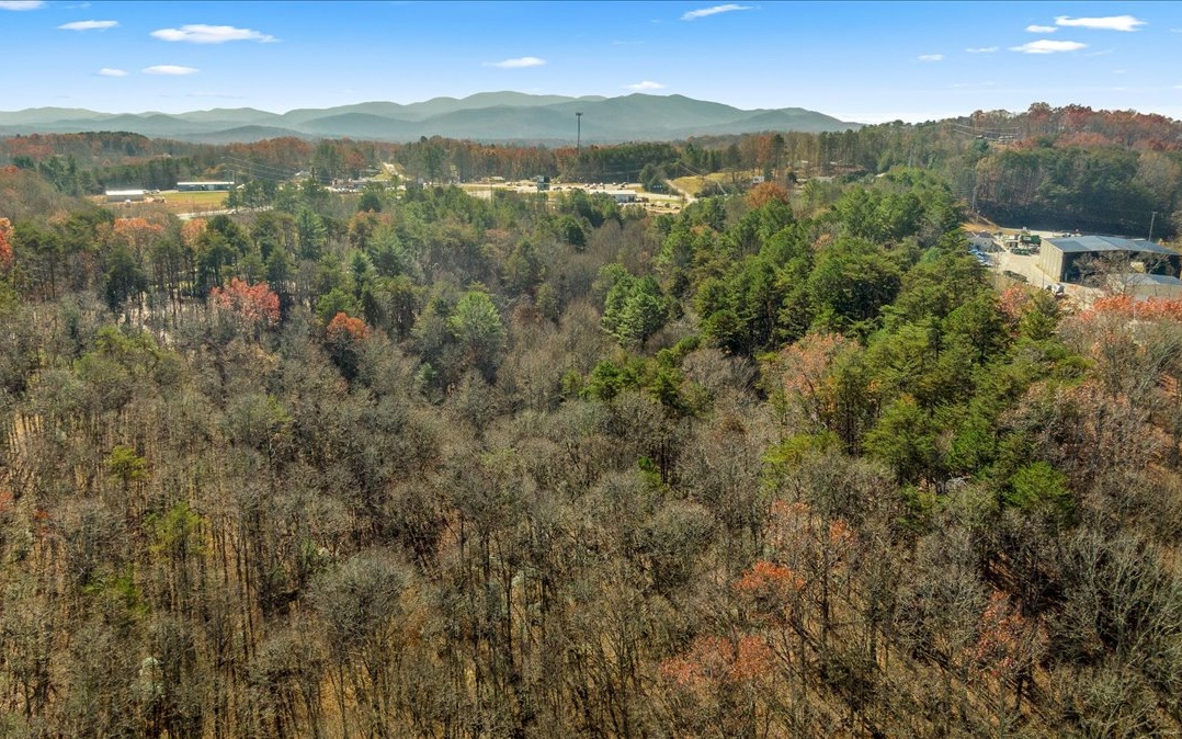 309290 Mineral Bluff Land